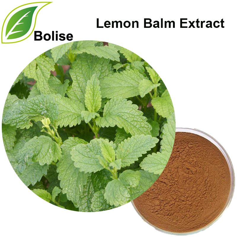 Lemon Balm Extract