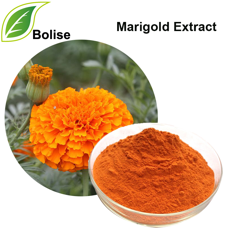 Marigold Extract