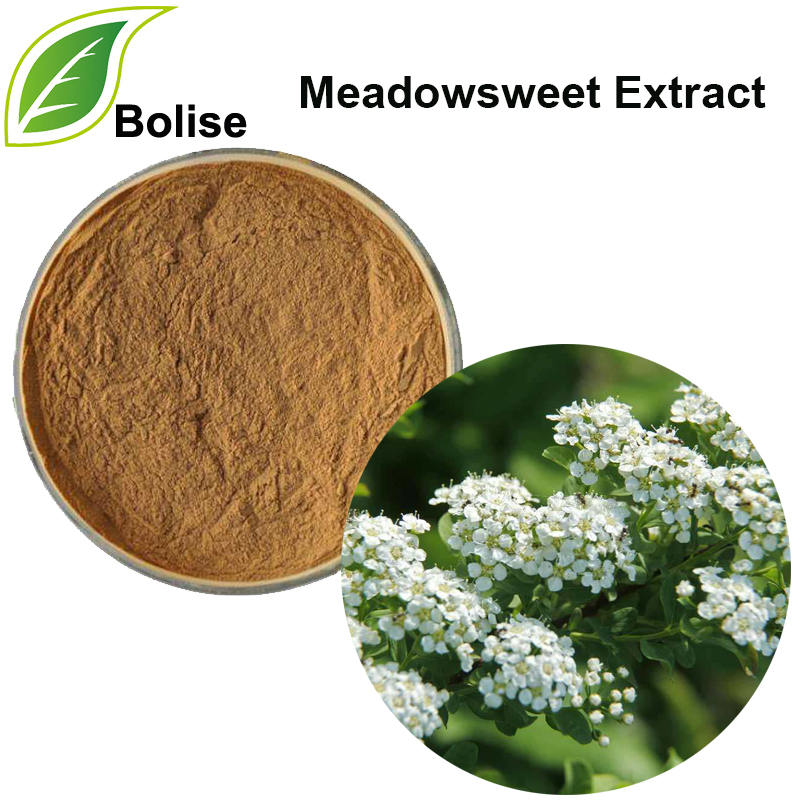 Meadowsweet ekstraktı