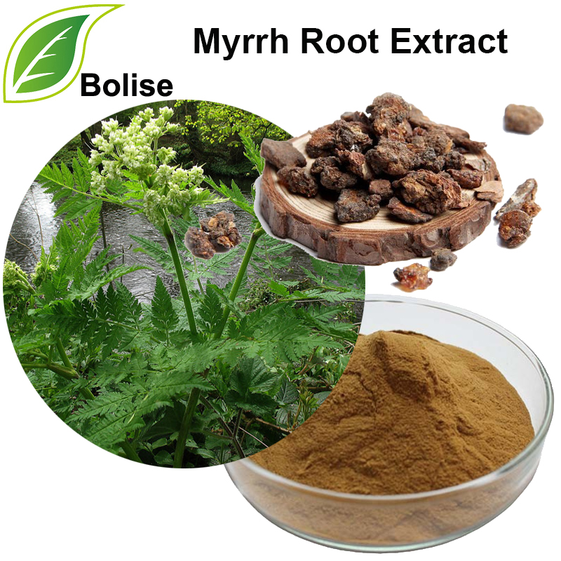 Ekstrak Root Myrrh