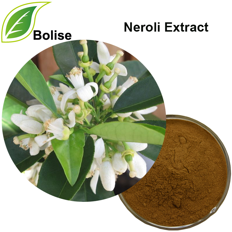 Extracto de neroli (extracto de flor de naranja)