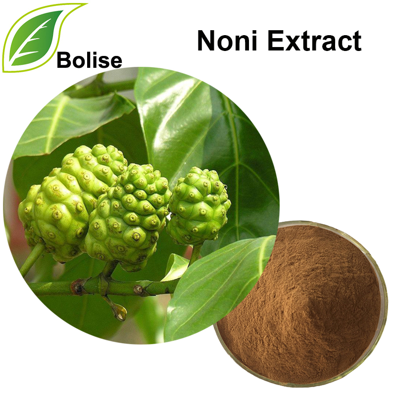 Noni Extract(Great Morinda Extract)