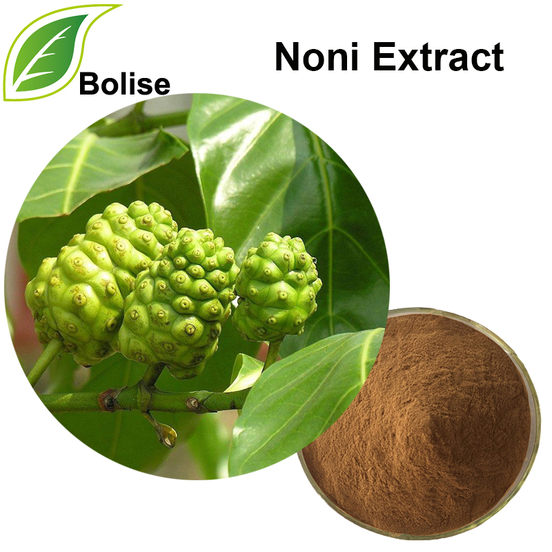 Noni ekstrakt (suurepärane Morinda ekstrakt)