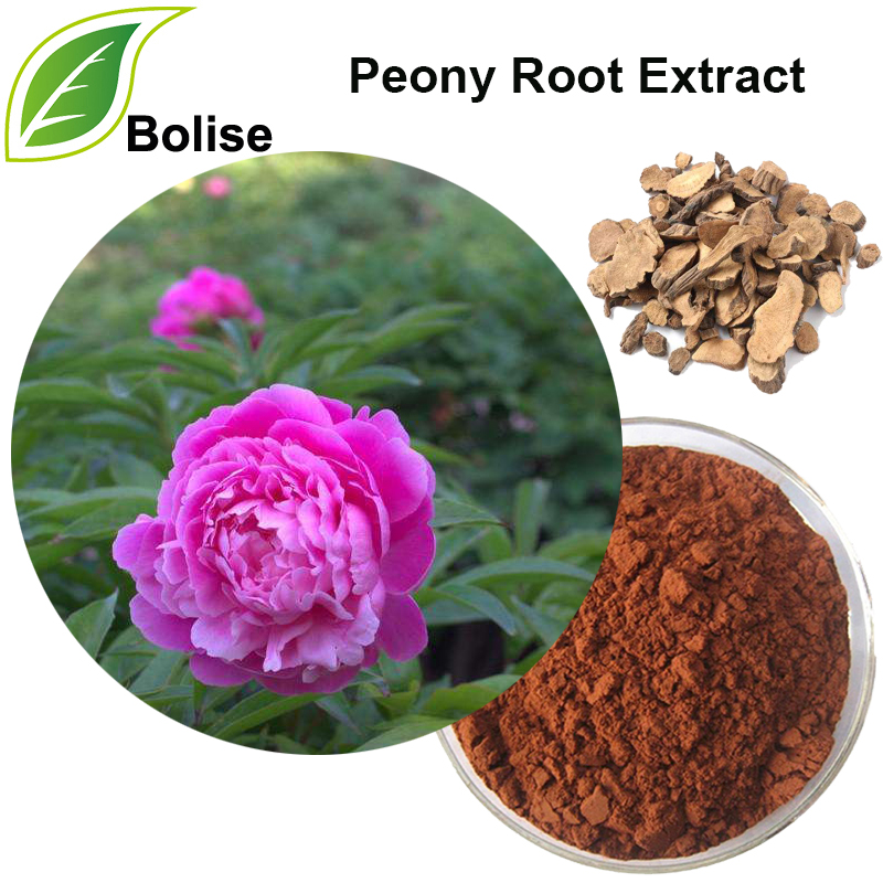 Peony Root Extract (ສານສະກັດຈາກຮາກ Moutan)
