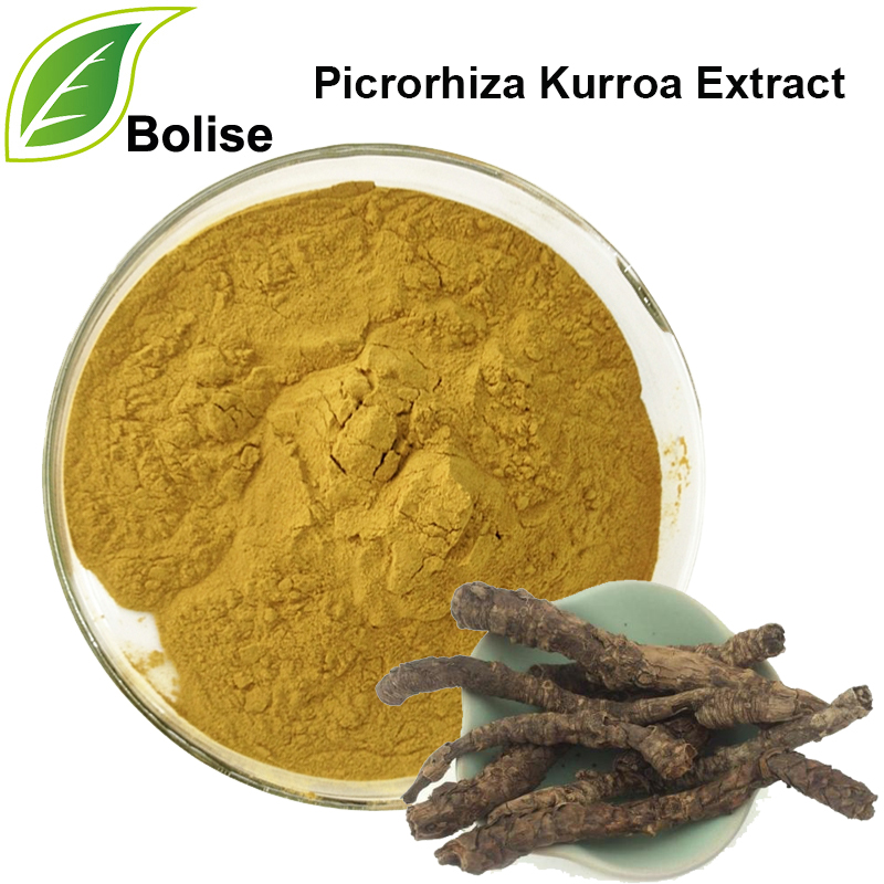 Extracto de Picrorhiza Kurroa (Extracto de Rhizoma Picrorhizae)