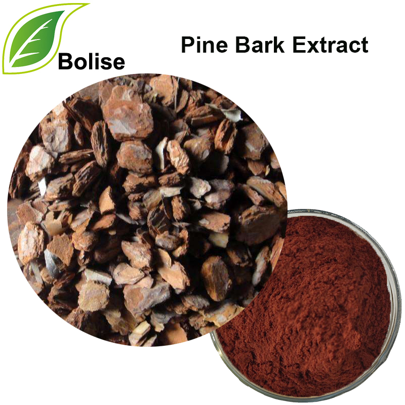 Pine Bark Extract