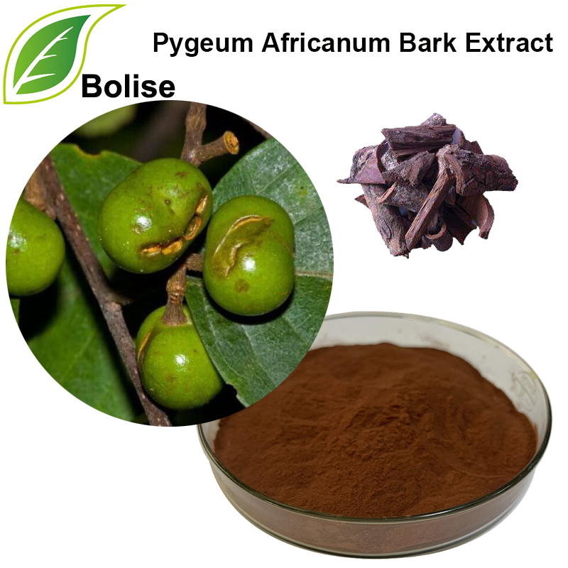 Pygeum mizas ekstrakts (Pygeum Africanum mizas ekstrakts)