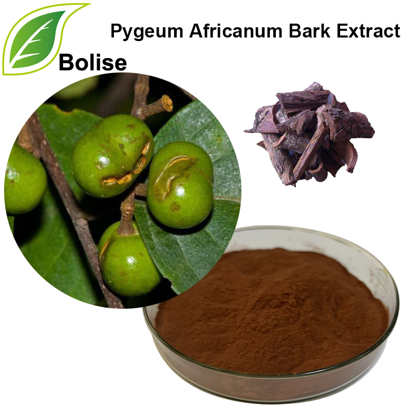 Екстракт од кора од Pygeum (екстракт од кора од Pygeum Africanum)