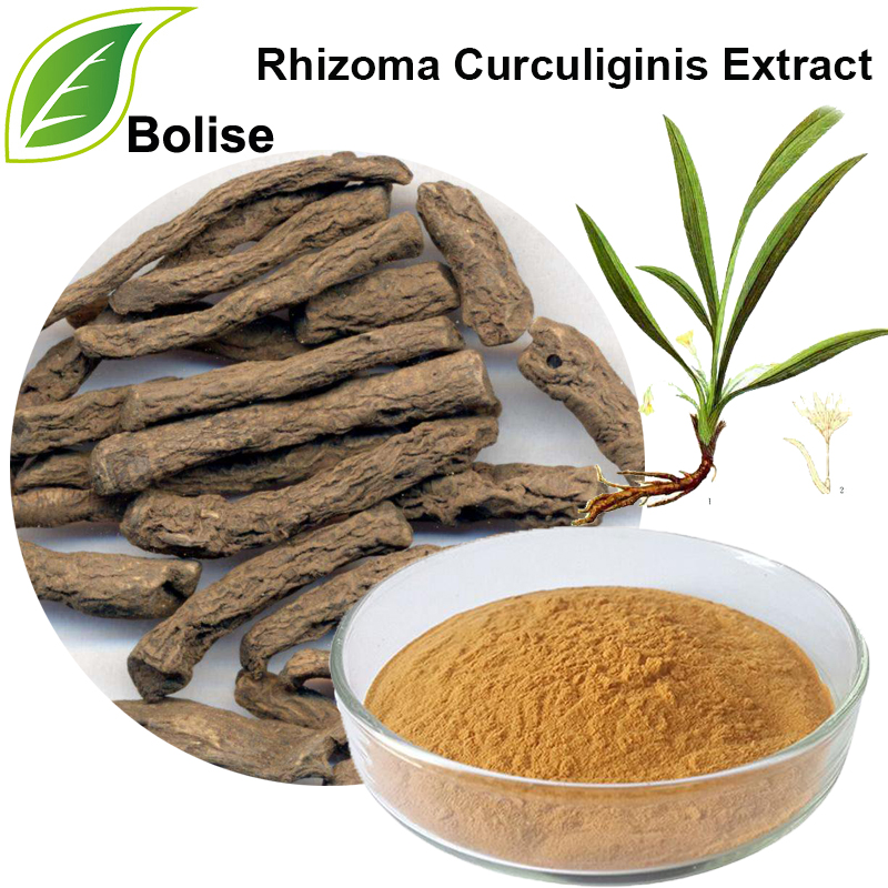 Extracto común de rizoma de curculigo (extracto de rizoma curculiginis)