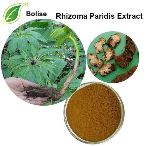 Extrakt z Rhizoma Paridis (extrakt z Rhizoma Paridis Yunnanensis)