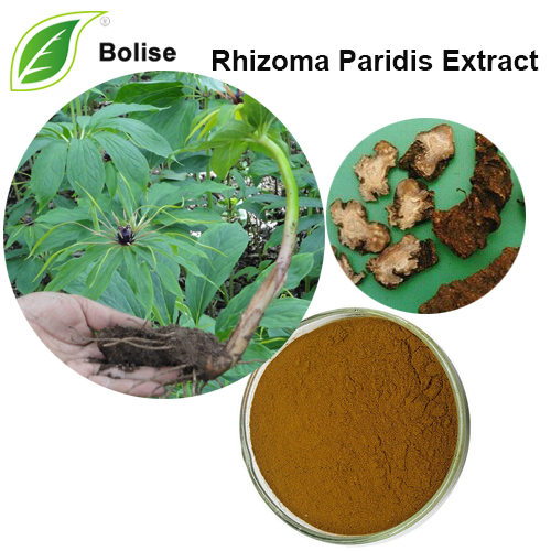 Extrait de Rhizoma Paridis (extrait de Rhizoma Paridis Yunnanensis)