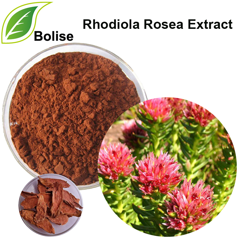 ສານສະກັດຈາກ Rhodiola Rosea (ສານສະກັດຈາກ Rhodiola)