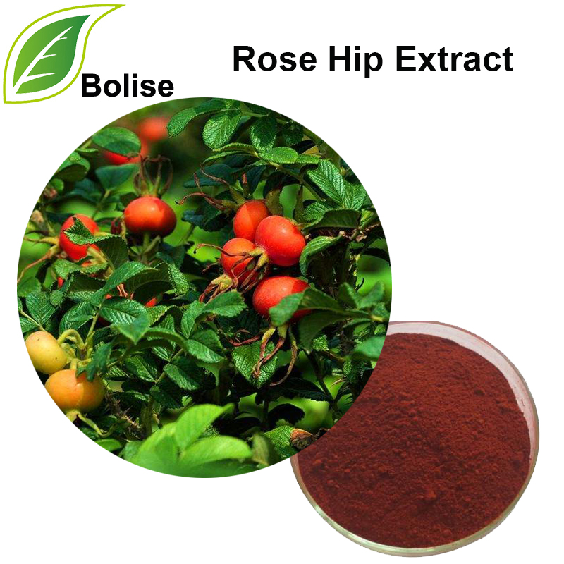 Ekstrak Rose Hip (Ekstrak Rose Haw)