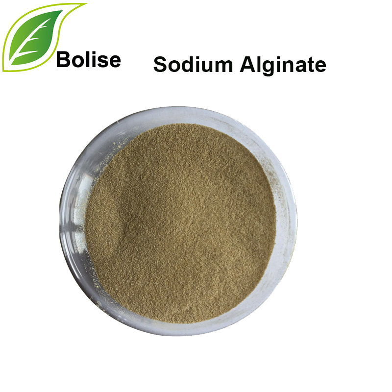 Sodium Alginate Sodium Alginate