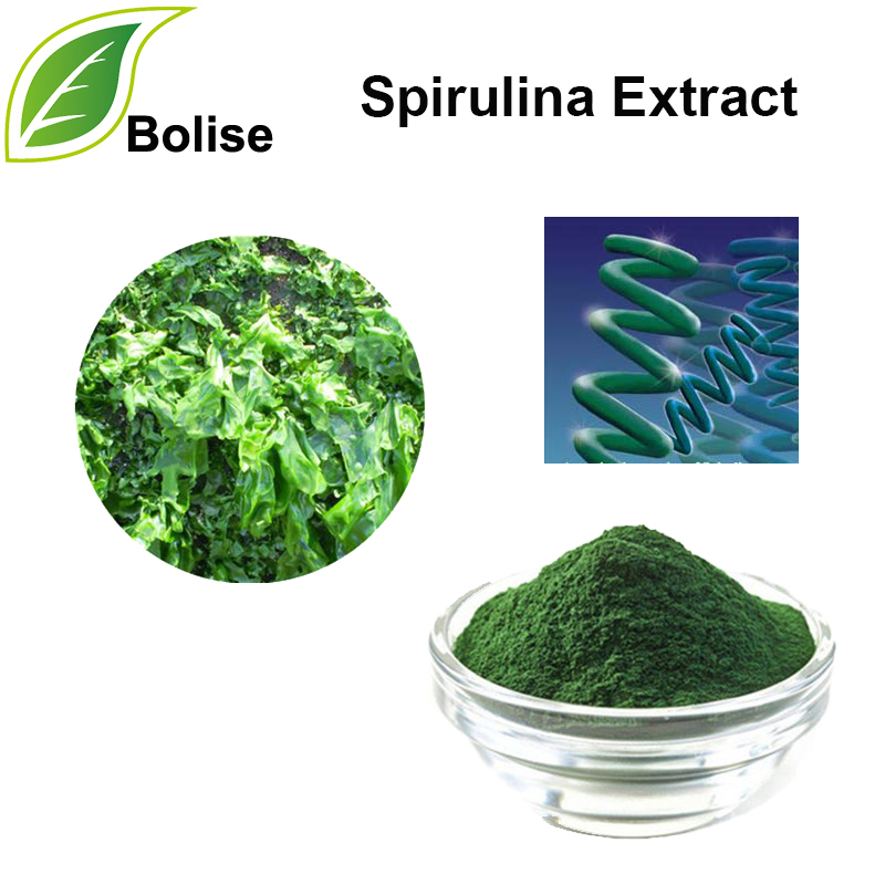 Spirulina ekstrakt