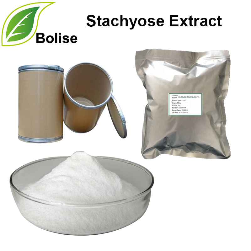 Stachyose Extract