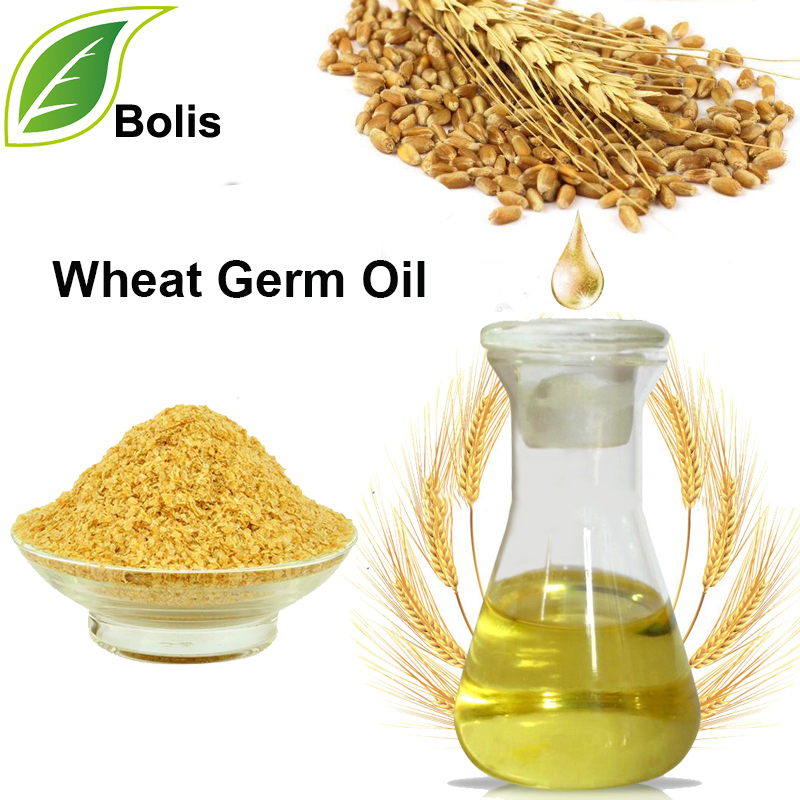 Wheat Germ Oil