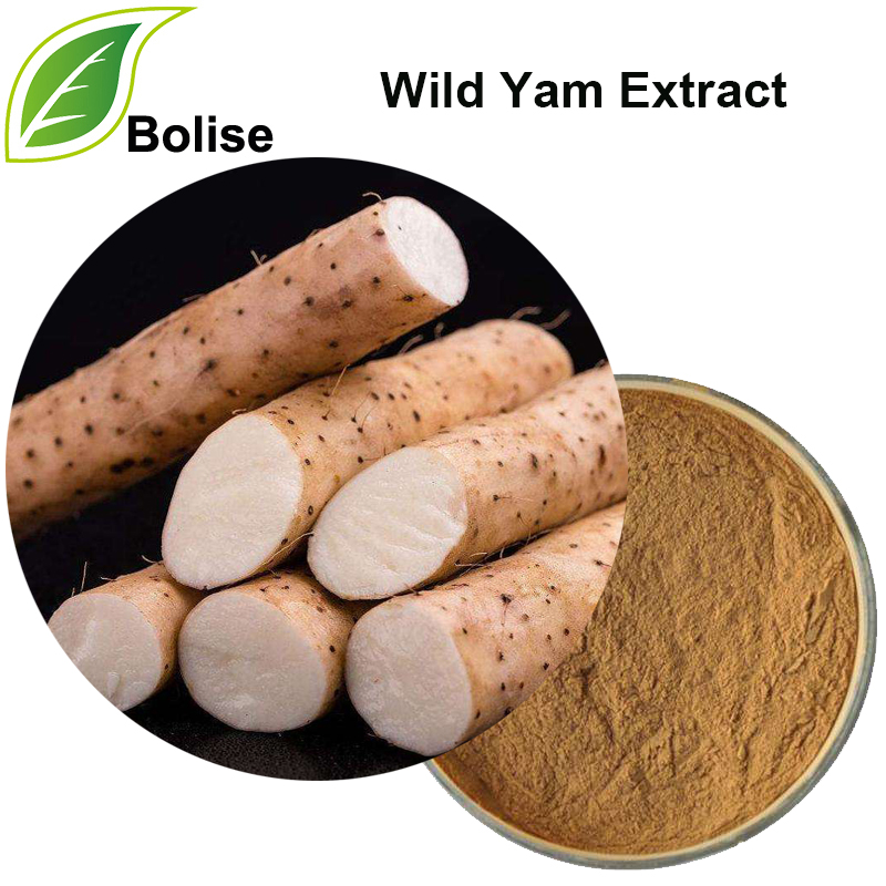 Dioscorea Villosa-ekstrakt (Wild Yam-ekstrakt)