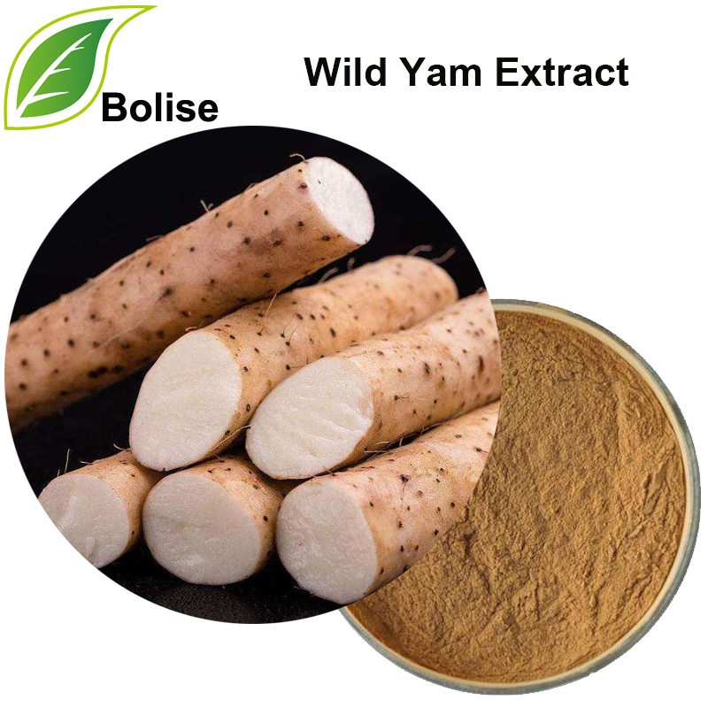 ສານສະກັດຈາກ Dioscorea Villosa (ສານສະກັດຈາກ Yam Yam ຈາກ ທຳ ມະຊາດ)