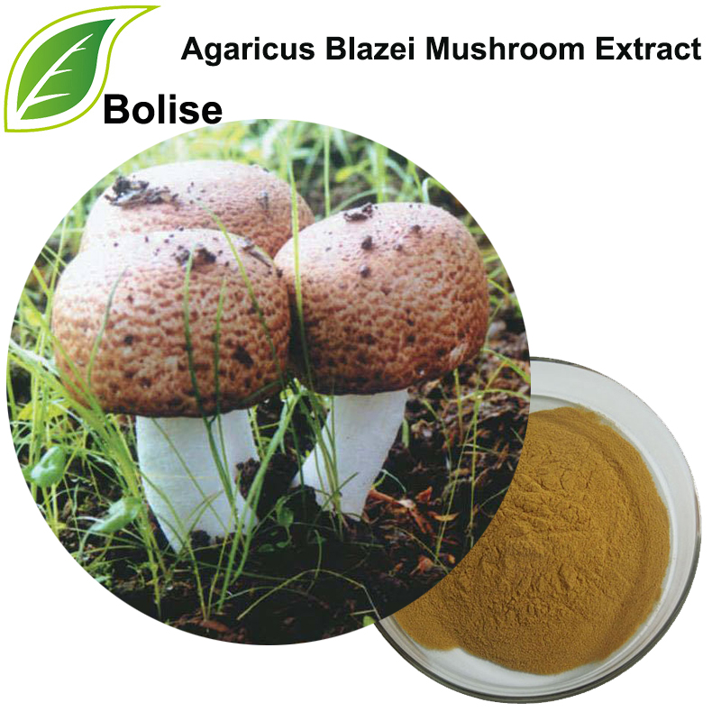 Ekstrakt gljive Agaricus Blazei