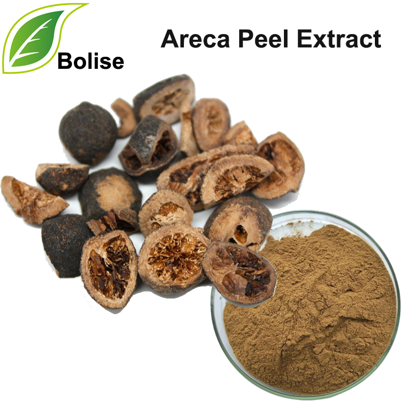 Areca kooreekstrakt (Pericarpium Arecae ekstrakt)