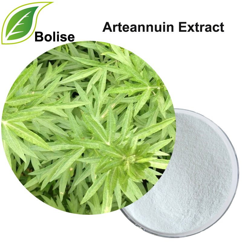 Arteannuin עקסטראַקט (Artemisinin Extract)