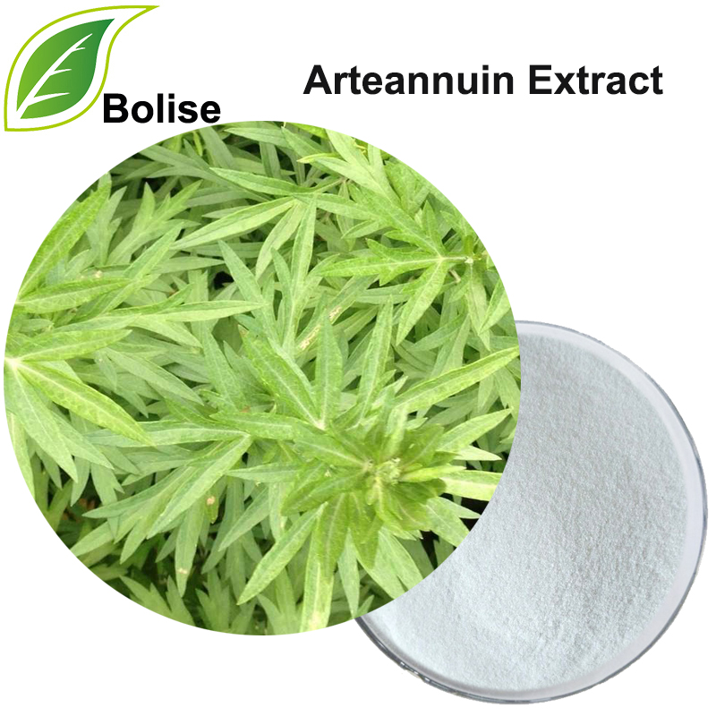 Arteannuin Extract (आर्टेमिसिनिन अर्क)