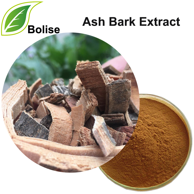 Ash Bark Extract (Cortex Fraxini Extract)