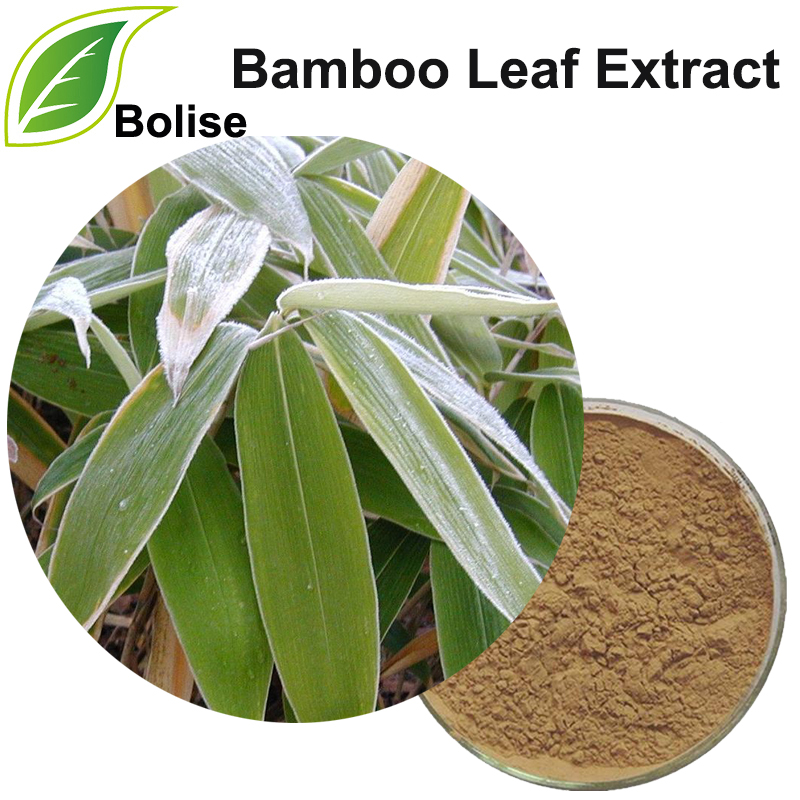 Bamboo Leaf Extract