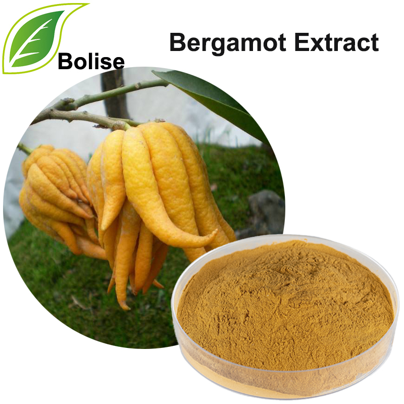 Bergamott ekstrakt (Fingered Citron Extract)