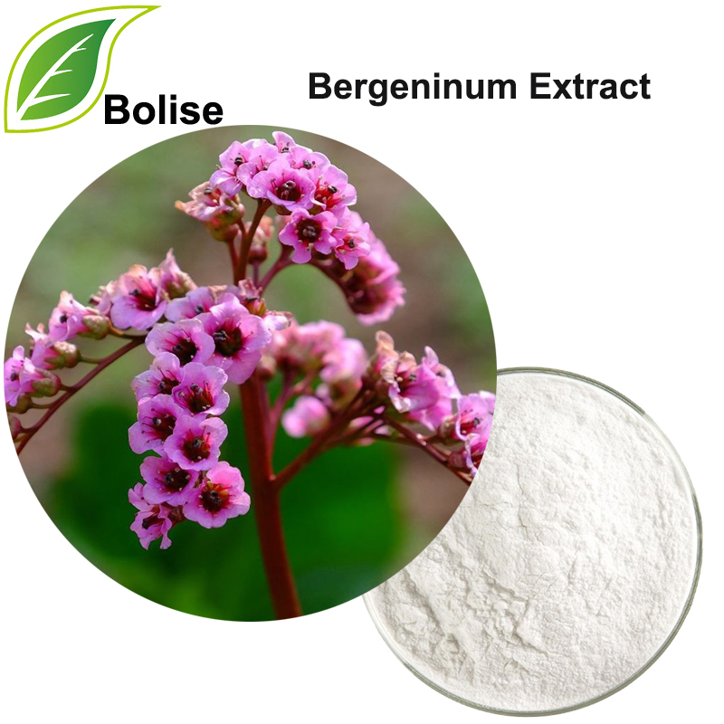 Bergeninum Extract (bergenin Extract)