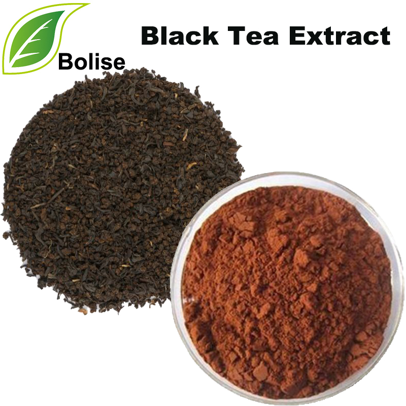Екстракт црног чаја