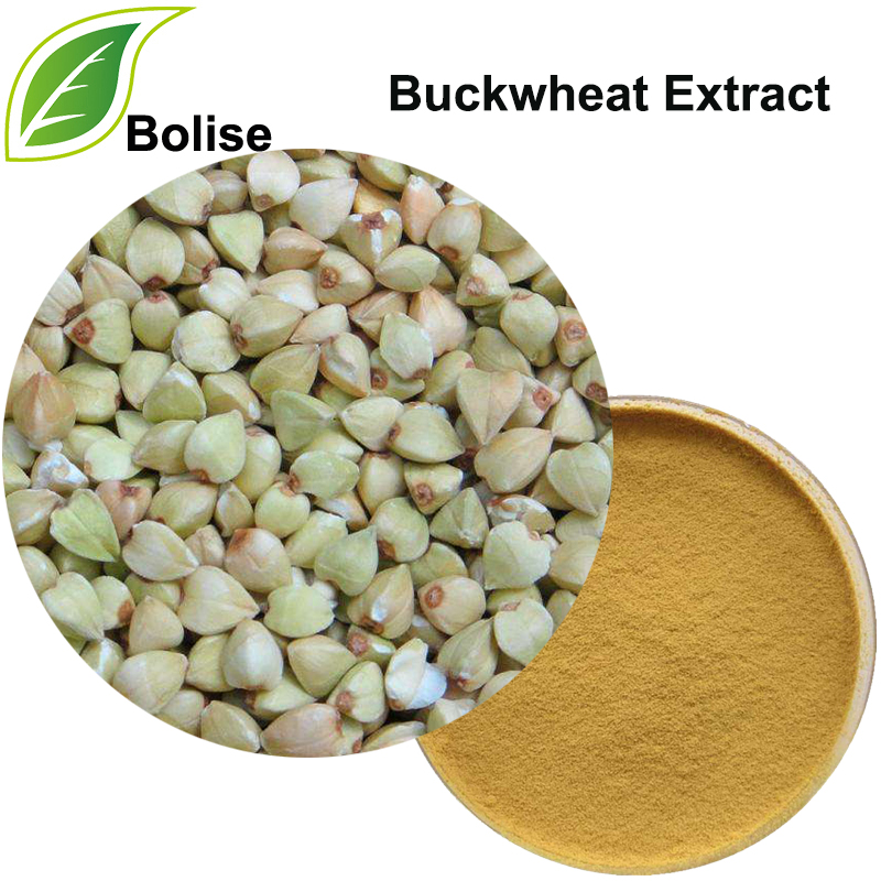 Buckwheat Extract (Beech Wheat Extract)