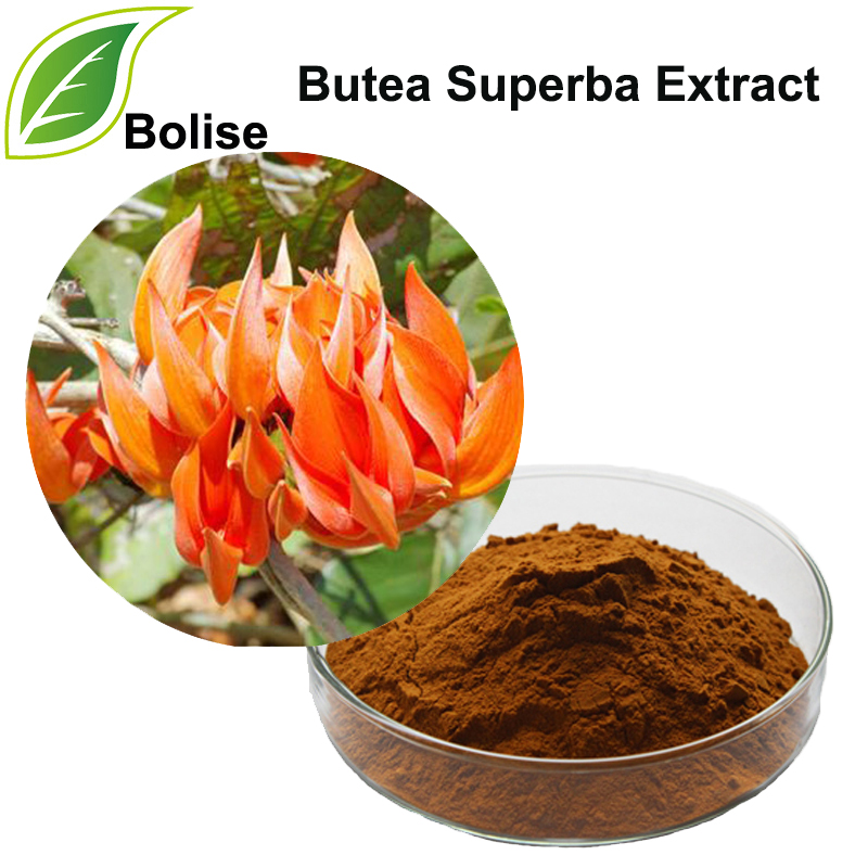 Butea Superba Extract