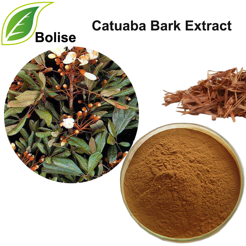 Ekstrak Catuaba Bark