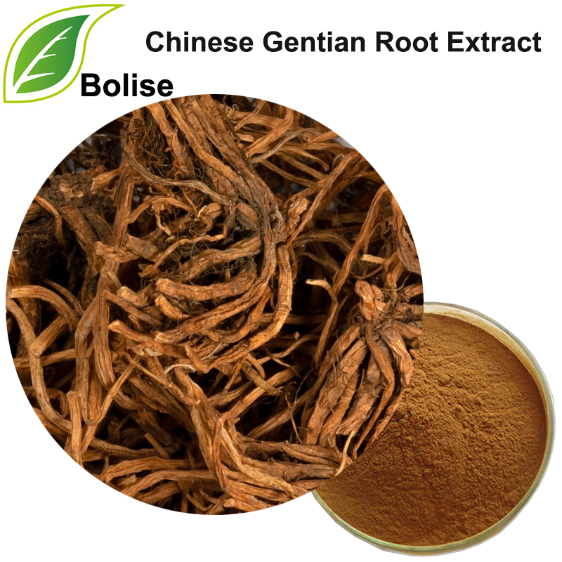 Kinesisk gentianrotekstrakt (Radix Gentianae-ekstrakt)