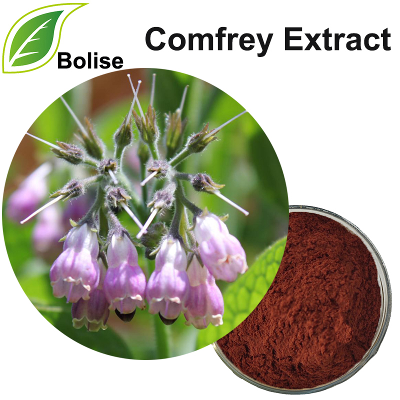 Comfrey ekstrakt