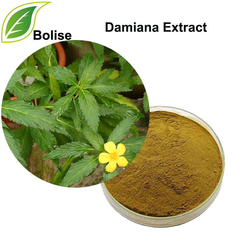 Damiana Extract