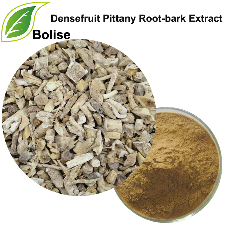 Extrakt z koreňovej kôry Densefruit Pittany (extrakt z Cortex Dictamni)