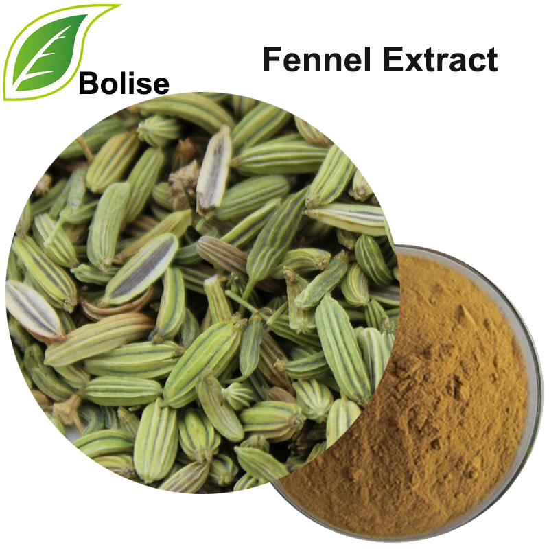 Sliocht Fennel (Sliocht Cumin)