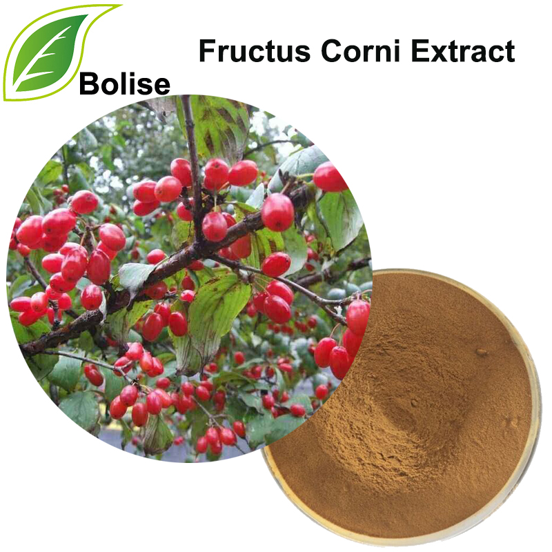 Ekstrak Buah Ceri Cornelian Asia (Ekstrak Fructus Corni)