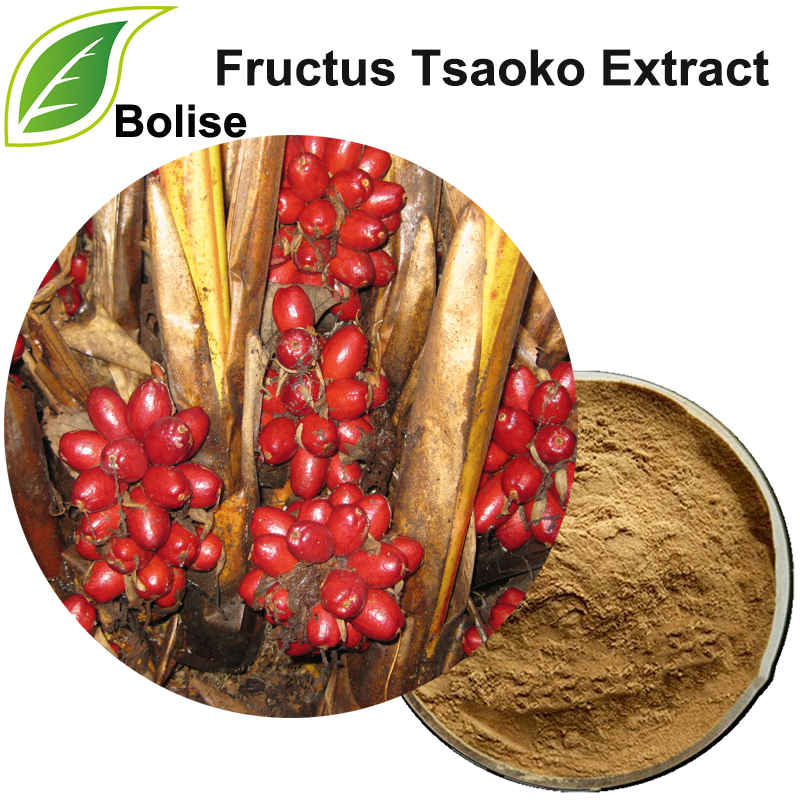 Caoguo ekstrakt (Fructus Tsaoko ekstrakt)