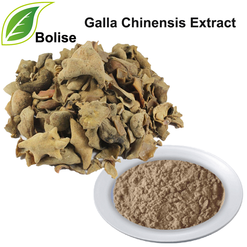 Extracto de Galla Chinensis