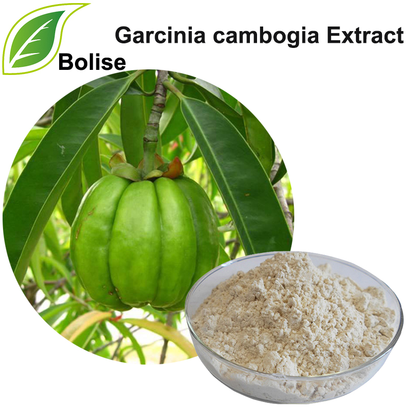 Ekstrakt z Garcinia cambogia (ekstrakt z borówki brusznicy)