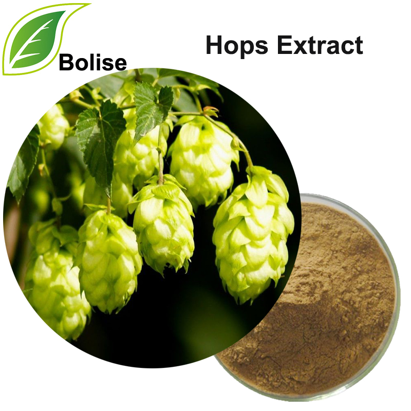 Hops çıxarış