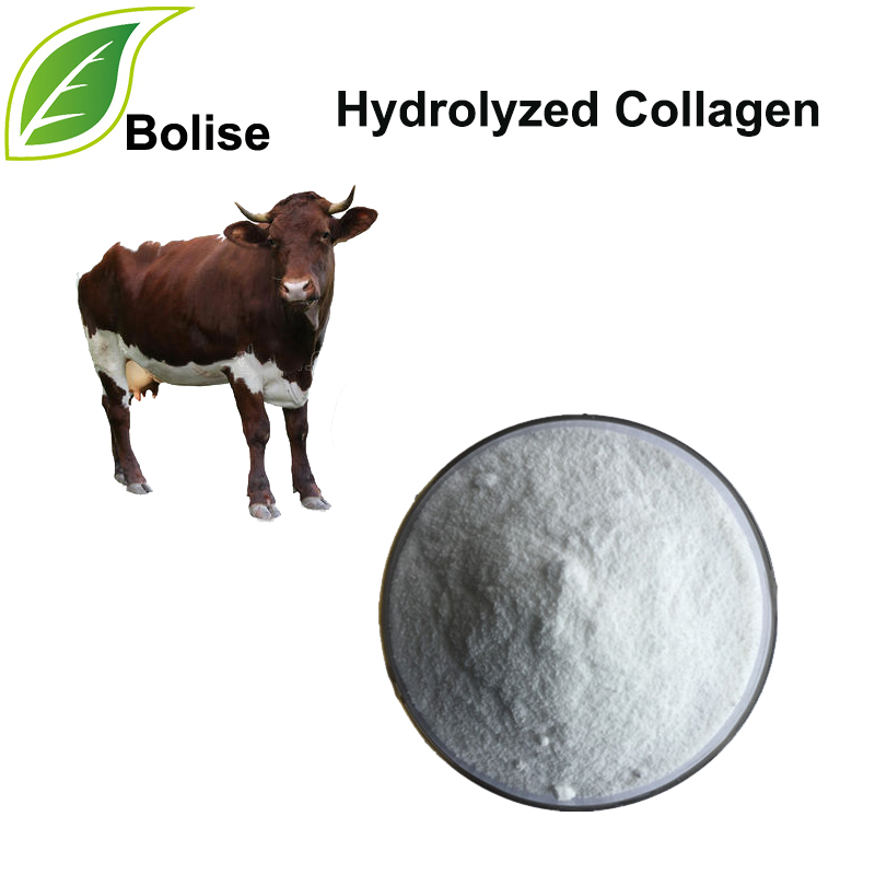 Hydrolyzed Collagen