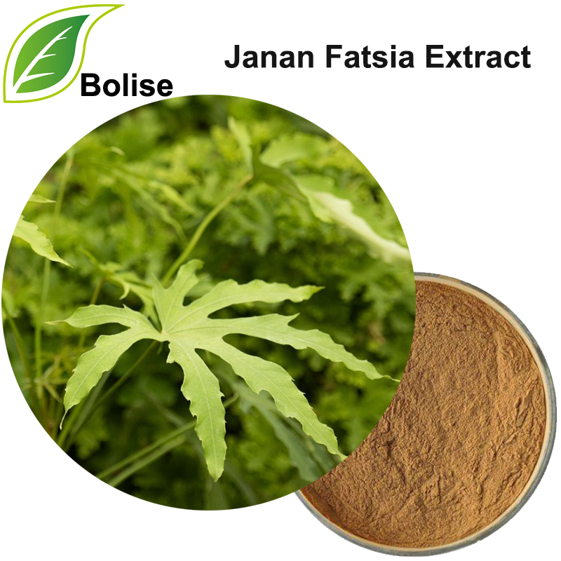 สารสกัดจาแนนไขมัน (Fatsia Japonica Extract)