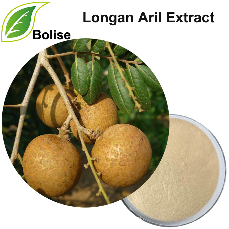Long nhãn Aril Extract (Arillus Longan Extract)