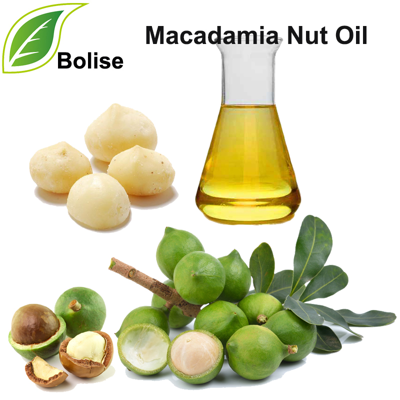 Macadamia Nut Oil (Macadamia Oil)