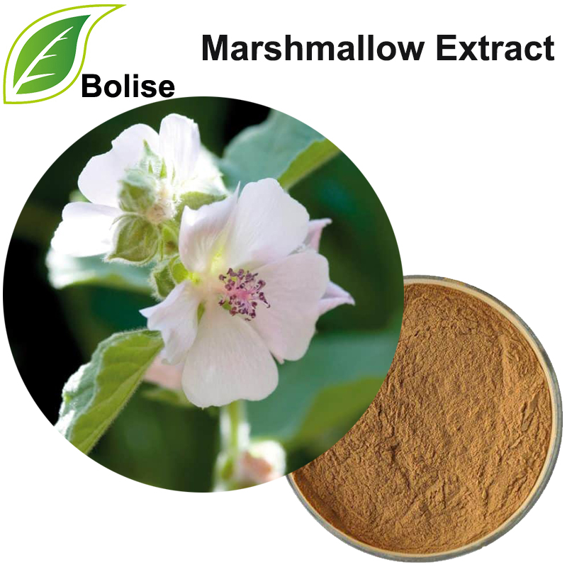 Marshmallow Extract